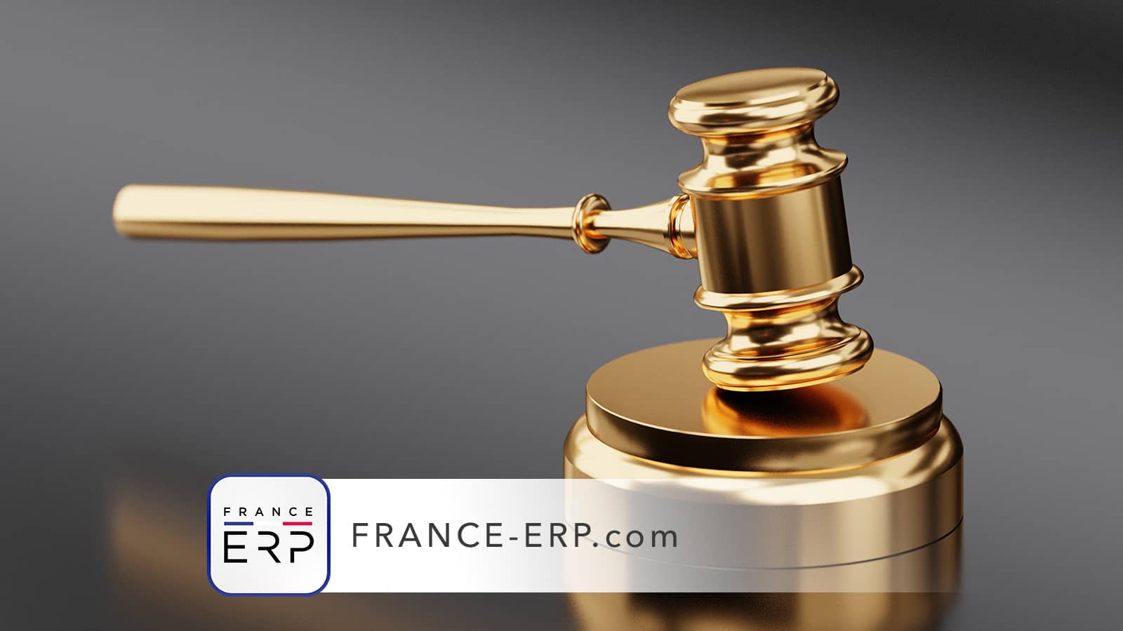 Etat des risques et pollutions (ERP) & litiges : que dit la jurisprudence ?