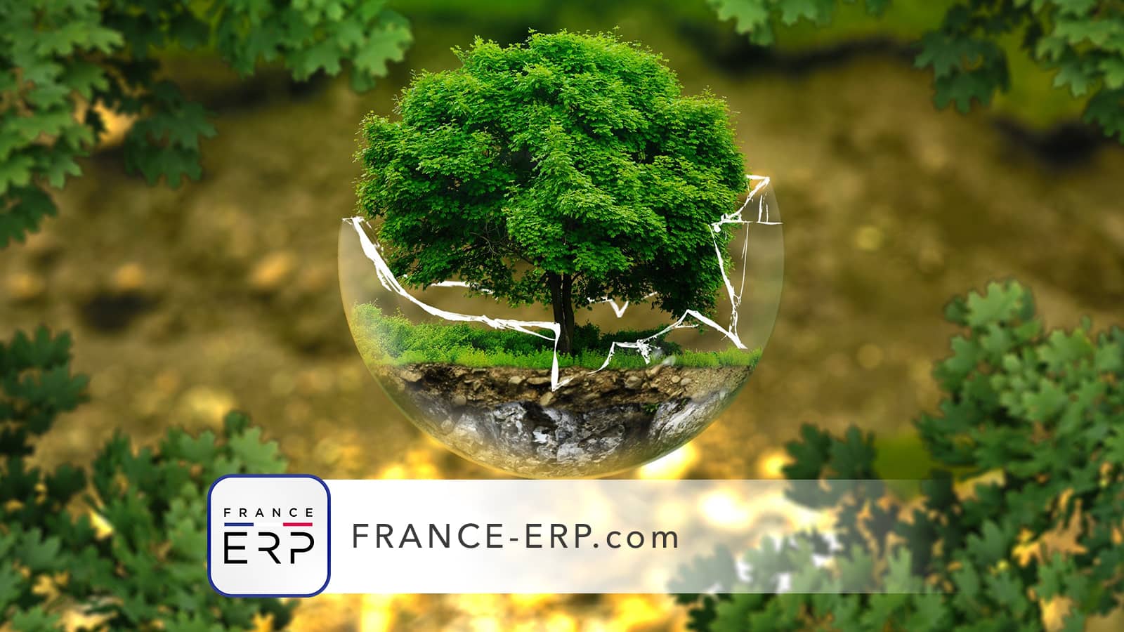 Pollution des sols, un risque majeur pour l’environnement et la santé