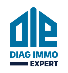 DIAGIMMOEXPERT