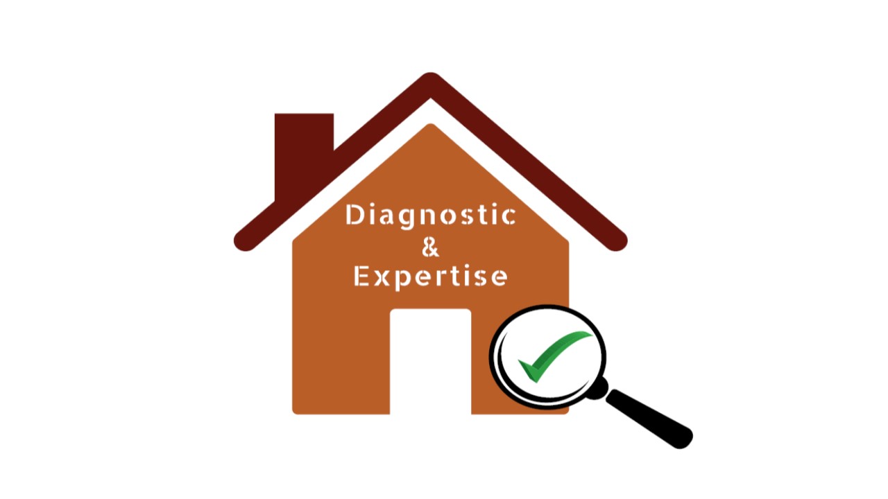 DIAGNOSTIC ET EXPERTISE